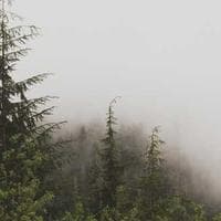 Gama Classic 01 görünüm 3