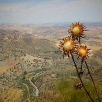 Gama Sun 03 görünüm 1