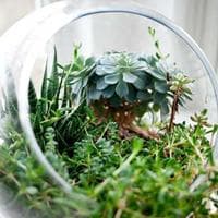 Gama Minimal 04 görünüm 1